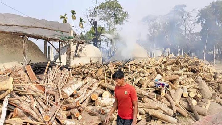 বরগুনায় অবৈধ চুল্লিতে কাঠ পুড়িয়ে পরিবেশ দূষণ